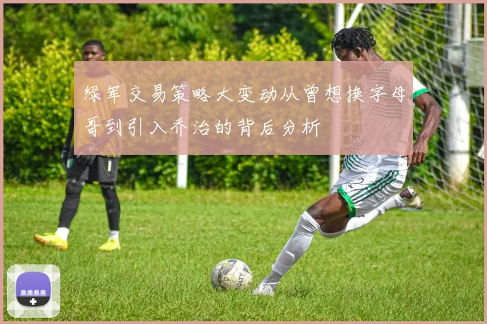 绿军交易策略大变动从曾想换字母哥到引入乔治的背后分析